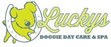 Madison Boats Logo